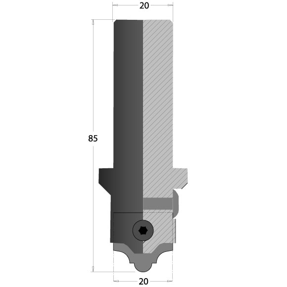 C616 Fräserkörper mit 20mm Schaft