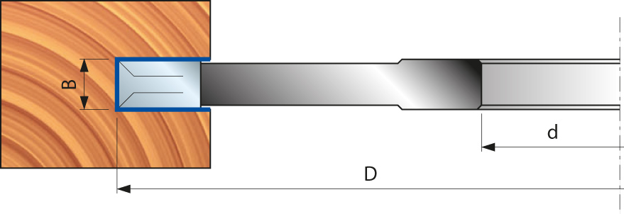 Freud Flachdübelfräser mit Vorschneider D=100 d=22 B=4 Z=2 V=2+2